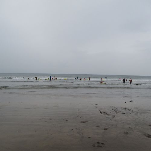 IMG3769